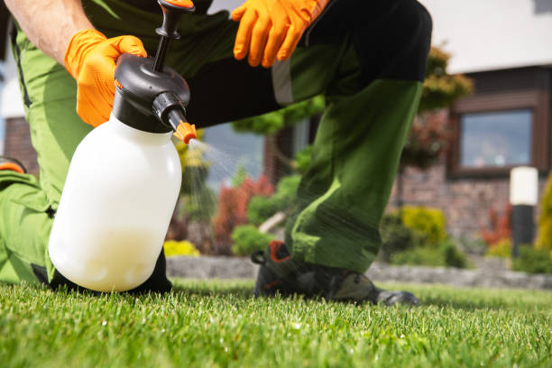 Best Ant Control Services  in Encantada Ranchito El Calaboz, TX