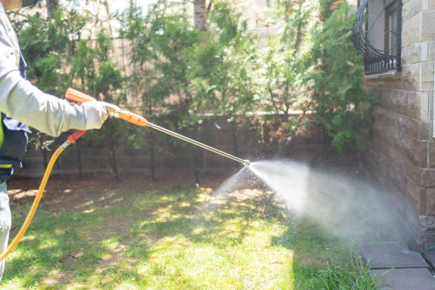 Best Best Pest Control Companies  in Encantada Ranchito El Calaboz, TX