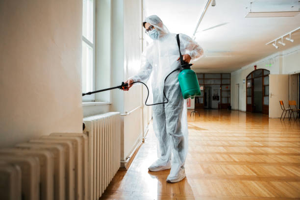 Best Affordable Pest Control Services  in Encantada Ranchito El Calaboz, TX
