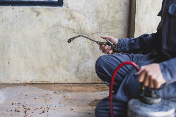 Professional Pest Control in Encantada Ranchito El Calaboz, TX